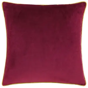 Paoletti Meridian Velvet Piped Feather Filled Cushion