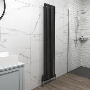 Nes Home 1800 X 380 mm Double Column Matte Black Radiator