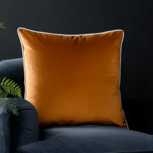 Paoletti Meridian Velvet Feather Rich Cushion