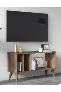 Norm TV Stand with 2 Shelves Small TV Cabinet, 90 x 30 x 49 cm TV Unit Table for TVs up to 42 inch, Oak