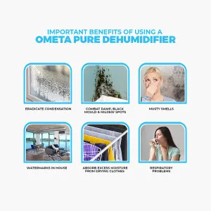 Ometa Pure Dehumidifier 12L, White