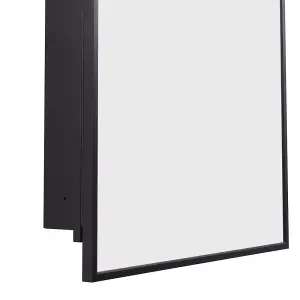 76cm H Black Wall-Mount Rectangular Bathroom Storage Mirror Cabinet