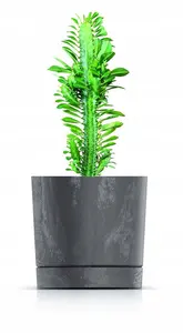 Plant Pots Indoor Outdoor Plastic Flowerpot Small Medium Large Tubo 5 Colours Anthracite 35cm