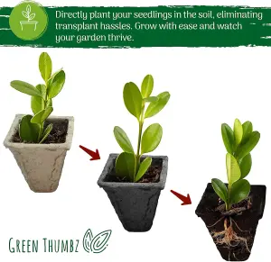 10 Seed Trays x 6 Pack (60 Cells) - Biodegradable Seedling Germination for Easy Transplanting, with Labels for Plants & Cuttings