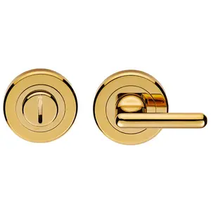 Disabled Lock And Release Handle Concealed Fix DDA Compliant Stainless Brass