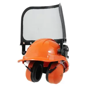 SPARES2GO Chainsaw Safety Helmet with Mesh Visor and Ear Muffs