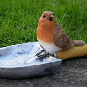 Robin sitting on Shovel bird feeder