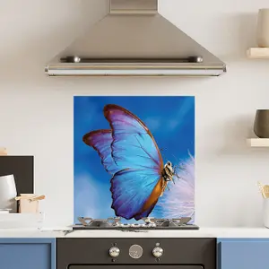 Premium 60cm x 65cm 6mm Glass Blue Butterfly Kitchen Splashback Toughened Polished Edge