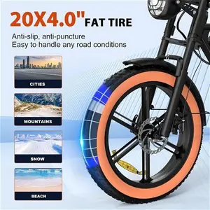 HITWAY 750W Electric Bike For Adults,20X4.0 Fat Tire Off-Road E Bike