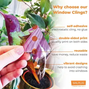 Walplus Small Hummingbirds Windows Clings - 12Pcs