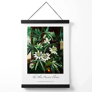 Vintage Floral Exhibition -  Blue Passion Flower Medium Poster with Black Hanger