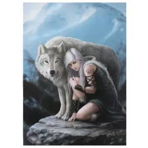 Anne Stokes Protector Canvas Plaque May Vary (Small)