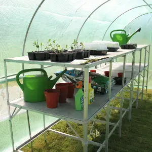 Polytunnel Greenhouse Walk In Galvanised Windows Doors Growhouse PE Cover Diameter 6 x 3m