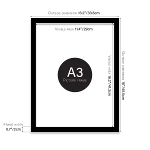 A3 Black Picture Frame Fits A3 (29.7 x 42cm - 11.7 x 16.5in) Poster, Photo, Artwork, or Print.