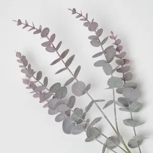 Homescapes Eucalyptus Spray Set of 3 Stem 71cm