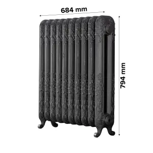 Arroll Daisy Cast iron Grey 10 Column Radiator, (W)684mm x (H)794mm