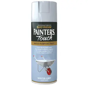 Rust-Oleum Painter's Touch Winter grey Gloss Multi-surface Decorative spray paint, 400ml