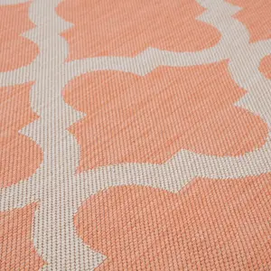 Ecology Collection Outdoor Rugs in Orange  400OR