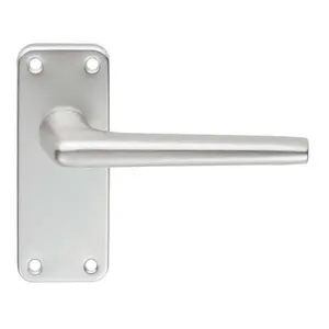 Esben Latch Door Handle (Set of 2)