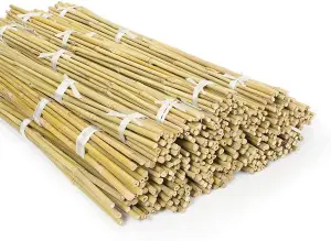 Gardens Large Extra Strong Heavy Duty Home Professional Bamboo Plant Support Garden Privacy Screen 3ft (10 - 12mm) 10 Canes