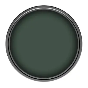 Leyland Trade Vinyl Matt Walls & Ceilings Emulsion Paint Dark Green Velvet (PPG1136-7) 2.5L