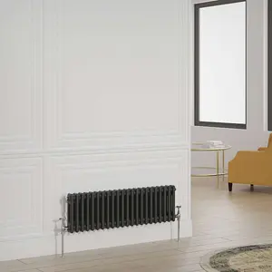 G-Rad Black Double Column Horizontal Radiator - (H) 300 x (W) 990mm