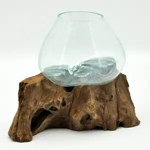 Vase on Teak Root Stand - Small - Blown Glass/Wood - L28 x W28 x H30 cm