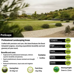 Pegdev - PDL - ProScape Grass Seed, The Ultimate Solution for Professional Landscapes, High Density & Drought Tolerant (250g)