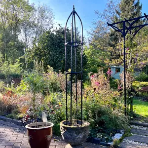 Garden Obelisk for Climbing Plants 170cm - Metal Plant Cage Support Trellis Rose Tower for Flowers, Patio Pots, Shrubs, Borders