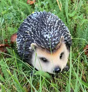 Hoglet Baby Hedgehog Resin Garden Ornament