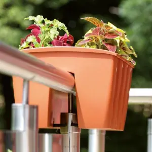 Flower Bridge Hanging Planter Plant Pot Fence Railing Balcony Decking Garden Pot Terracotta Medium