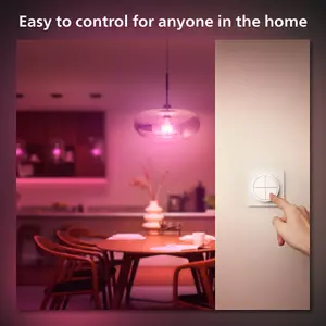 Philips Hue Tap Dial Switch White