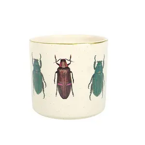 Something Different Whimsical Beetles Plant Pot Off White (One Size)