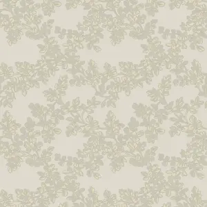 Laura Ashley Burnham Dove grey Trail Smooth Wallpaper