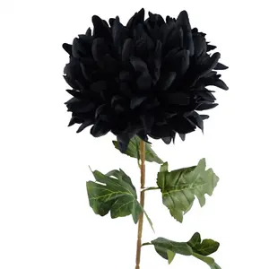 Pack of 6 x 75cm Extra Large Reflex Chrysanthemum - Black