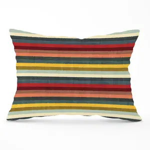 Multicolour Striped Brish Pattern Cushions 33cm x 48cm