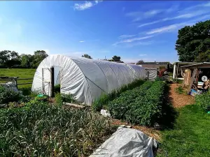 18ft x 54ft Large Commercial Heavy Duty Polytunnel Kit - Professional Greenhouse