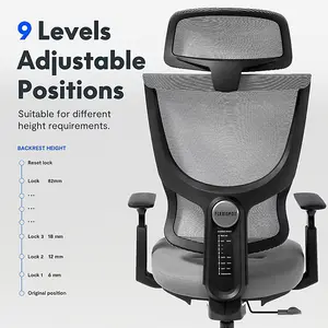 FlexiSpot 9-Stage Adjustable Back S-shaped Ergonomic Office Chair in Grey