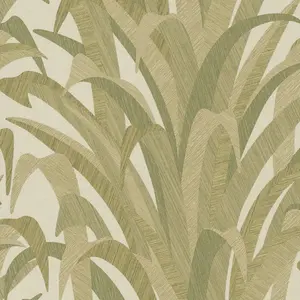 Grandeco Boutique Olivine Grass Leaves Embossed  Wallpaper, Green