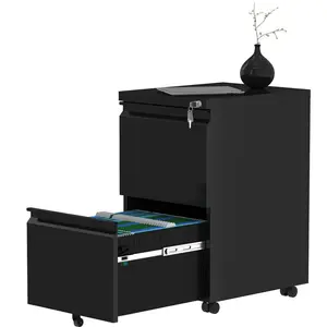 39cm Wide 2 -Drawer Mobile Steel File Cabinet Black