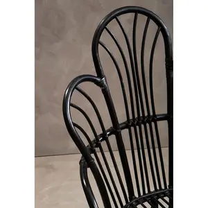 Interiors by Premier Java Black Rattan Scalloped Back Chair