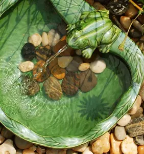 Modern Frog Water Fountain - Solar Powered Resin Recycling Water Feature