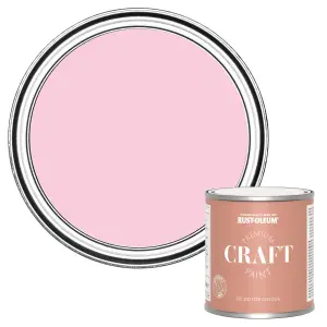 Rust-Oleum Premium Craft Paint - My Husband Said No 250ml