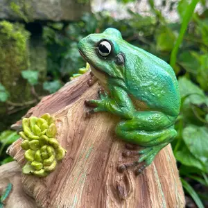 Frog Toad House wildlife shelter, face in tree stump design with frog decoration, novelty frog or wildlife lover gift