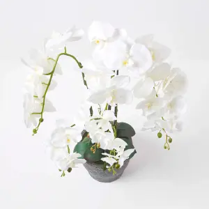 Homescapes White Orchid 82 cm Phalaenopsis in Ceramic Pot Extra Large, 4 Stems