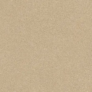 Evoke Mottled Vinyl by Remland (Scala 239L, 7m x 2m)