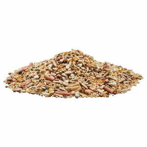 Happy Beaks Premium Wild Bird Food Spring & Summer Seed Mix High Energy Feed (12.75kg)