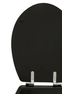 Maison by Premier Brooks Black Panel Effect Toilet Seat