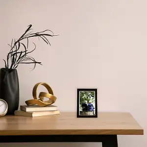 Modern Designer Shiny Gold Metal and Black 4x6 Picture Frame for Wall or Table