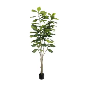 Blooming Artificial - 210cm / 7ft Faux Ficus Lyrata Tree